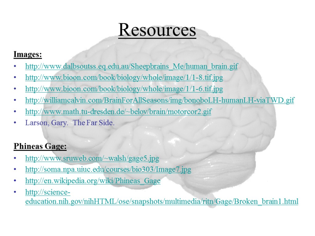 Resources Images: http://www.dalbsoutss.eq.edu.au/Sheepbrains_Me/human_brain.gif http://www.bioon.com/book/biology/whole/image/1/1-8.tif.jpg http://www.bioon.com/book/biology/whole/image/1/1-6.tif.jpg http://williamcalvin.com/BrainForAllSeasons/img/bonoboLH-humanLH-viaTWD.gif http://www.math.tu-dresden.de/~belov/brain/motorcor2.gif Larson, Gary. The Far Side. Phineas Gage: